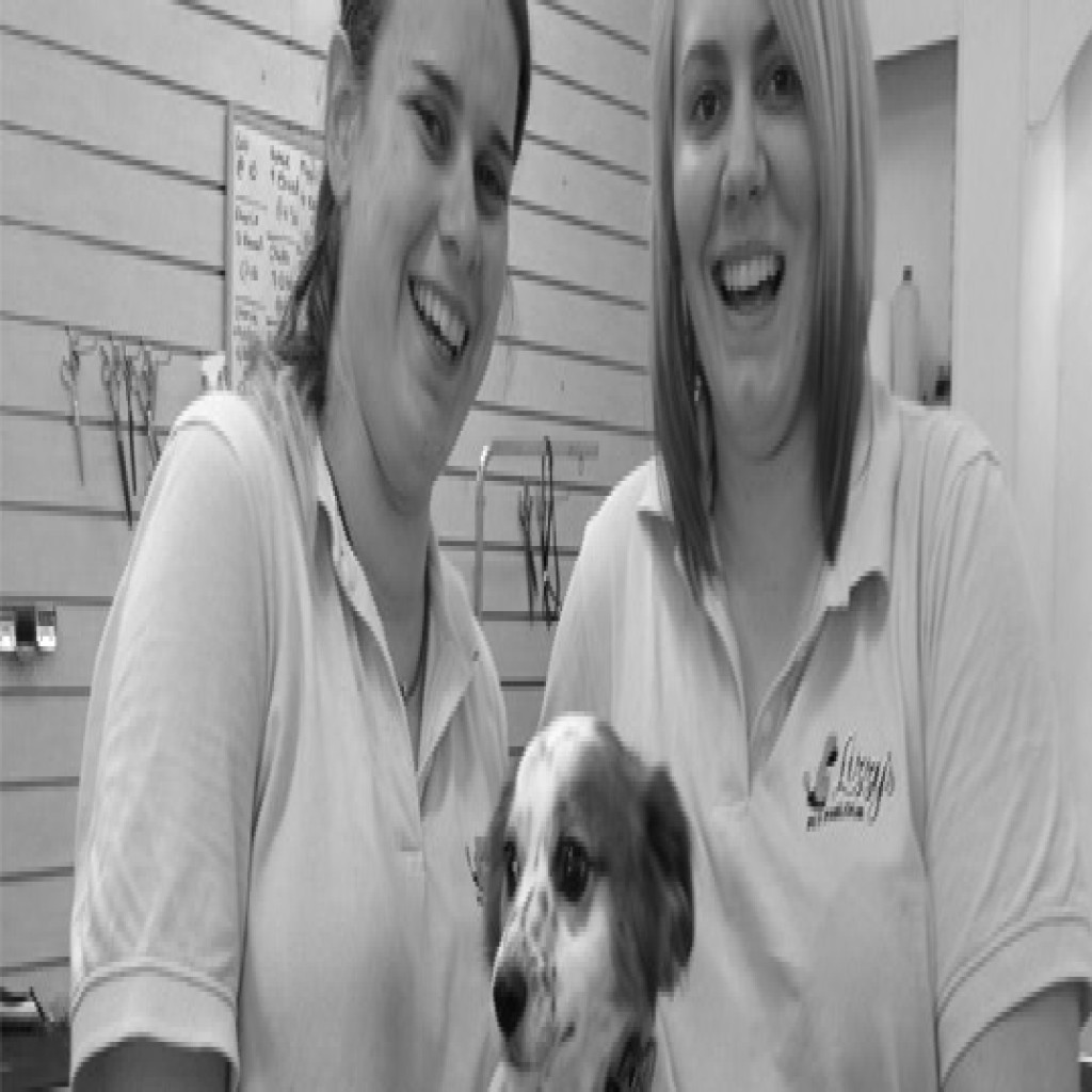 Lizzy's Pet Parlour helping Mason achieve her dream job